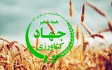 گمانه زنی برای معرفی وزیر جدید جهاد کشاورزی + گزینه ها