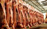عامل گرانی ۳۰ درصدی گوشت؟