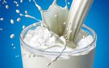 خرید حمایتی شیر خام دامداران
