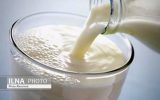 سقوط قیمت شیر به زیر ۱۵۰۰ تومان! / رئیس انجمن صنفی گاوداران: دولت در حمایت از دامداران تصمیمات دو پهلو می گیرد