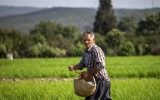 صف‌ طولانی کشاورزان برای کود شیمیایی! / به فکر ابتلای کشاورزان به کرونا نیستند