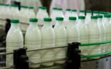 قیمت تضمینی شیر خام تعیین شد