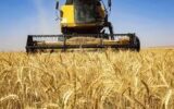 به دولت هشدار می‌دهیم که قیمت گندم را کمتر از ۲۰ هزار تومان تعیین نکند / کمیسیون کشاورزی حامی کشاورزان است