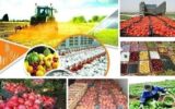 تاخیر شورای قیمت گذاری محصولات کشاورزی در تعیین قیمت‌های خرید تضمینی