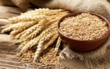سال آینده چقدر گندم در کشور تولید خواهد شد؟