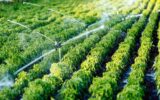 حل مشکلات مربوط به آب، مطالبه کشاورزان از مجلس دوازدهم