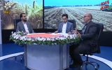 فیلم: افشاگری مسعود اسدی در رسانه ملی / چه کسانی در تعیین قیمت گندم به کشاورزان خیانت کردند