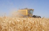 تثبیت مالکیت ۹۰ درصد زمین‌های کشاورزی