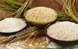 کاهش قیمت برنج در راه است