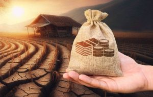 افزایش ۵۰ درصدی تعهدات بیمه گندم افزایش ۵۰ درصدی تعهدات بیمه گندم