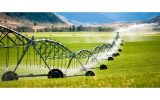 محدودیتی برای سرمایهگذاری در کشاورزی وجود ندارد محدودیتی برای سرمایهگذاری در کشاورزی وجود ندارد