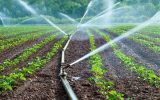 اجرای سریع آبیاری هوشمند در مزارع در دستور کار قرار گیرد