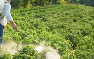 رهگیری سموم کشاورزی با سامانه هوشمند یکپارچه‌سازی ملی مدیریت