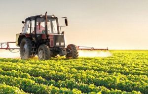 برنامه مدونی برای اصلاح روش های آبی و اصلاح الگوی کشت وجود ندارد