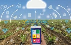 آبیاری هوشمند، راهکار صرفه‌جویی پایدار در منابع آب کشاورزی