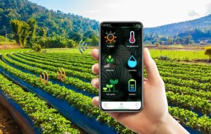 سند ملی گلخانه‌ها؛ نقشه راه تولید هوشمند کشاورزی