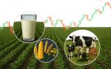 توسعه افقهای جدید بیمهای در بخش کشاورزی توسعه افقهای جدید بیمهای در بخش کشاورزی