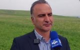 شناسنامه دار شدن محصولات زراعی در حال اجراست / تمامی کشاورزان امکان دسترسی به سامانه را دارند / با شناسنامه دار شدن محصولات، به افزایش درآمد بخش کشاورزی کمک می شود