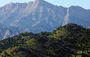 بکارگیری مهندسان کشاورزی برای حفظ منابع طبیعی