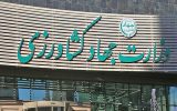 آغاز اصلاح ساختار ستادی وزارت جهاد کشاورزی + توضیحات معاون وزیر کشاورزی