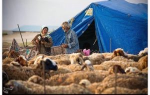 گوشت عشایری با برند استانی به بازار عرضه می‌شود