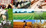 اعطای تسهیلات برای اشتغال پایدار در روستا / تعریف یک زنجیره اقتصادی برای هر استان + جزییات