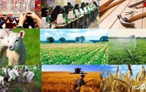 اعطای تسهیلات برای اشتغال پایدار در روستا / تعریف یک زنجیره اقتصادی برای هر استان + جزییات